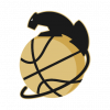 itdpanthers logo